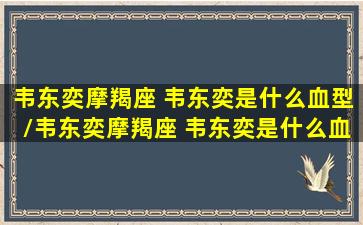 韦东奕摩羯座 韦东奕是什么血型/韦东奕摩羯座 韦东奕是什么血型-我的网站